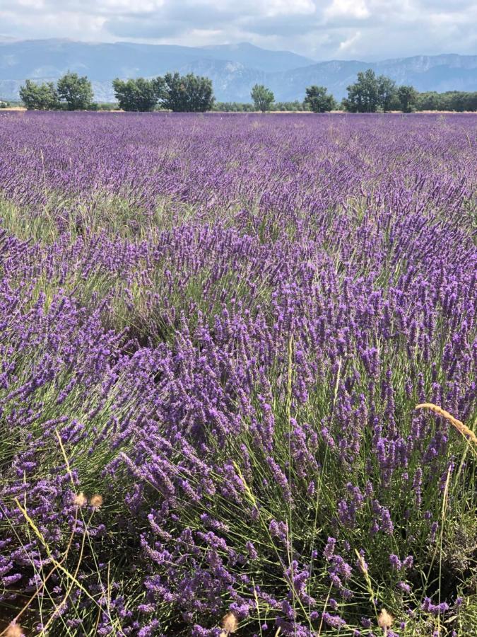 Maison De Village En Provence Baudinard المظهر الخارجي الصورة
